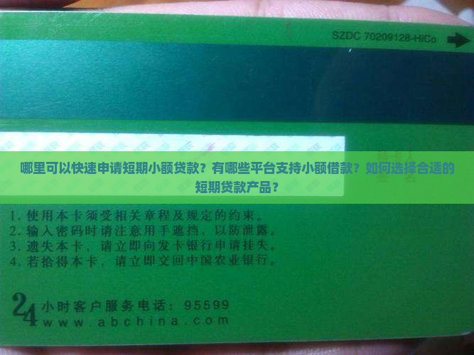 哪里有短期小额贷款