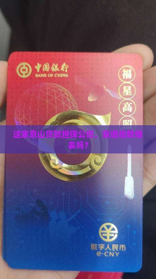 京山贷款担保公司