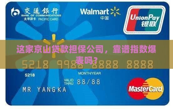 京山贷款担保公司