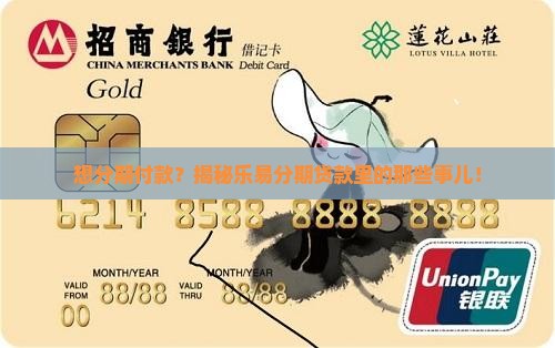 乐易分期是什么贷款