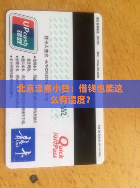 北京泽惠小额贷款有限
