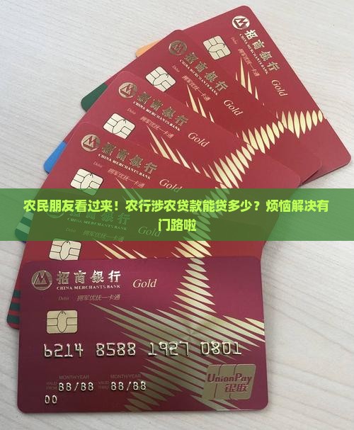 农业银行涉农贷款