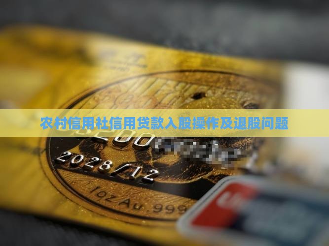 农村信用社信用贷款入股 农村信用社信用贷款入股