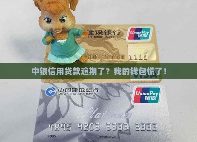 中银信用贷款逾期
