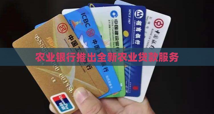 农业银行发展银行贷款