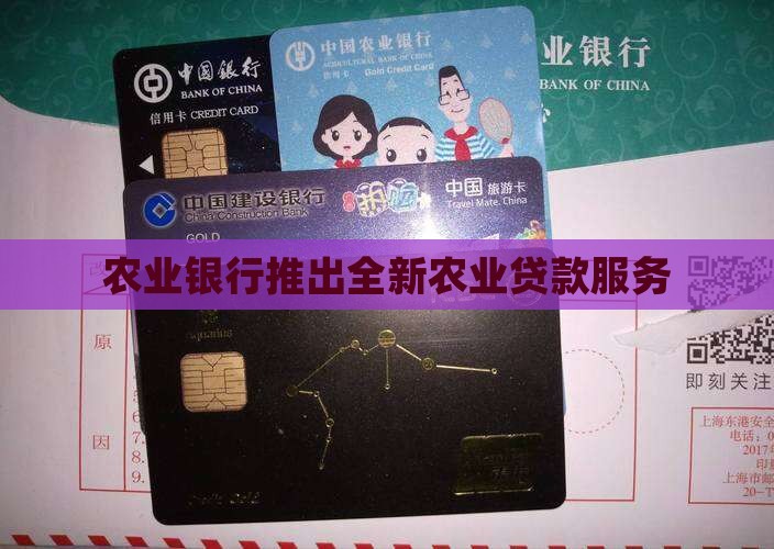 农业银行发展银行贷款
