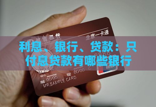 只付息贷款有哪些银行