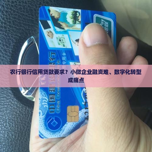 农行银行信用贷款要求