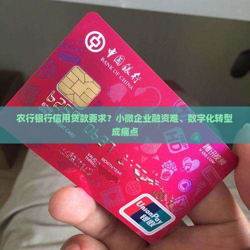 农行银行信用贷款要求