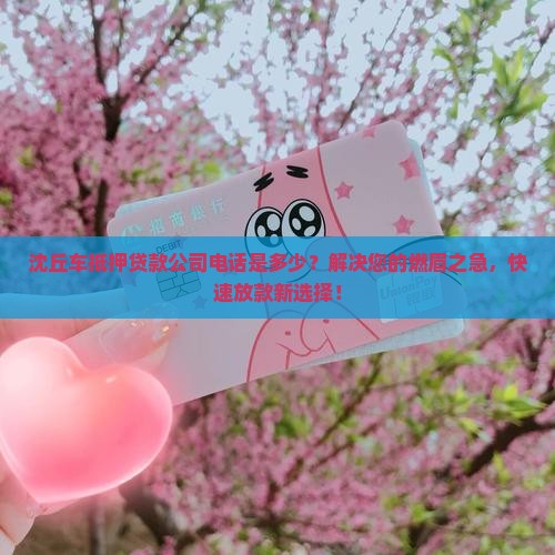 沈丘车抵押贷款公司电话