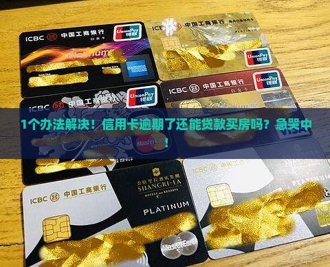 信用卡逾期了可以贷款吗