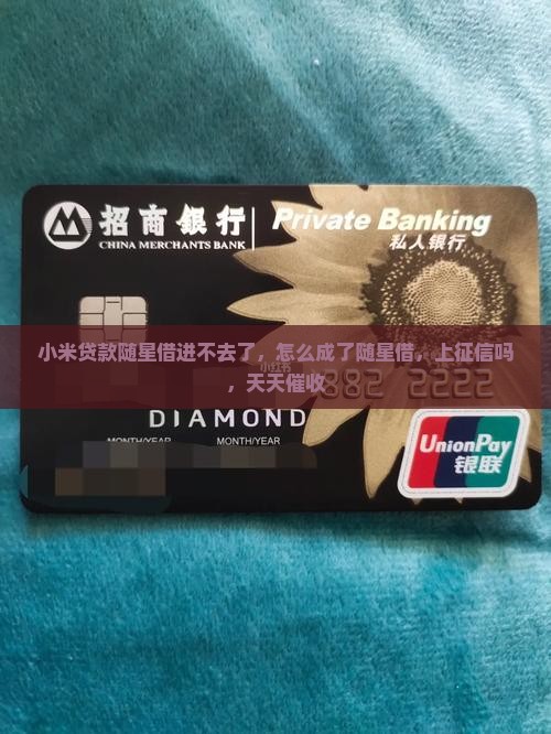 小米贷款随星借进不去了