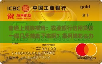 农业银行信用贷款几天批