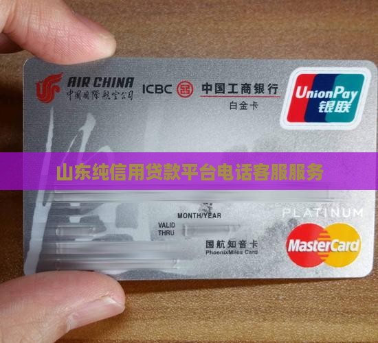 山东纯信用贷款平台电话