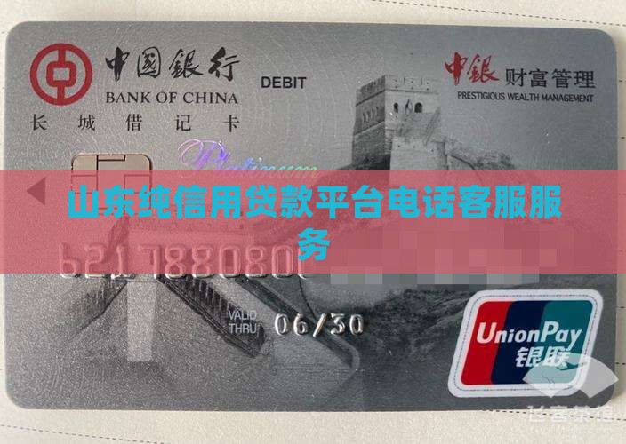 山东纯信用贷款平台电话