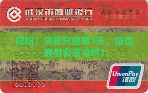 贷款逾期1天征信