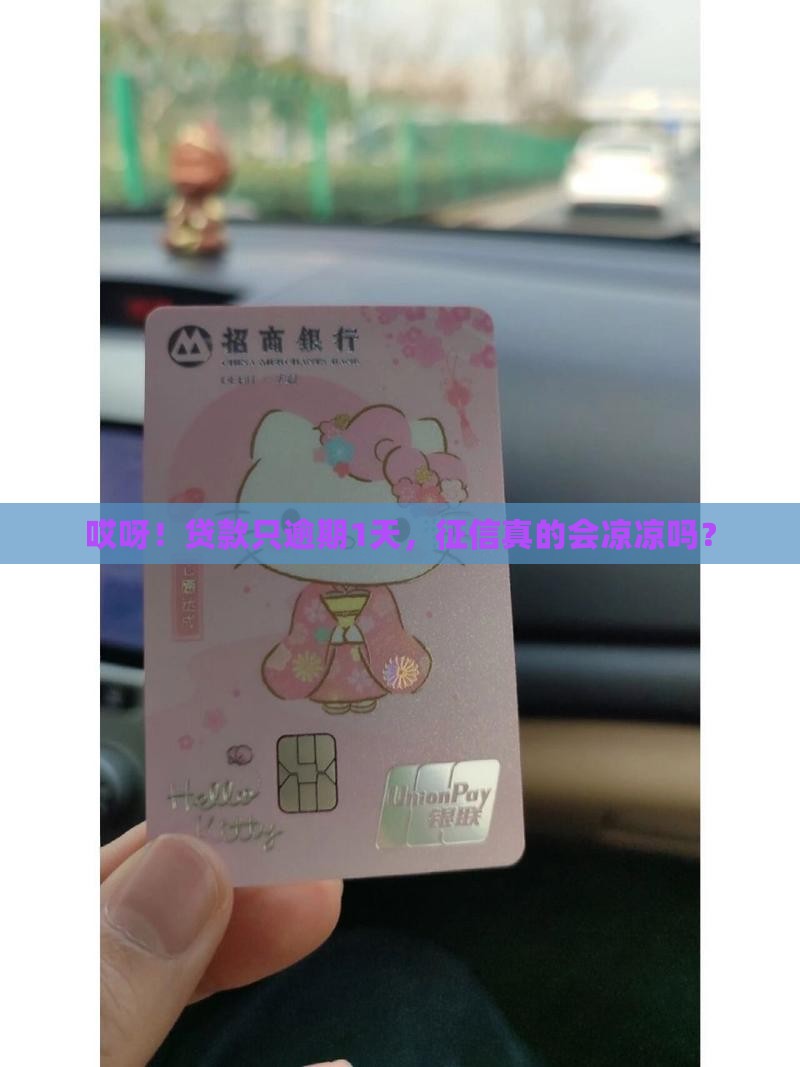 贷款逾期1天征信