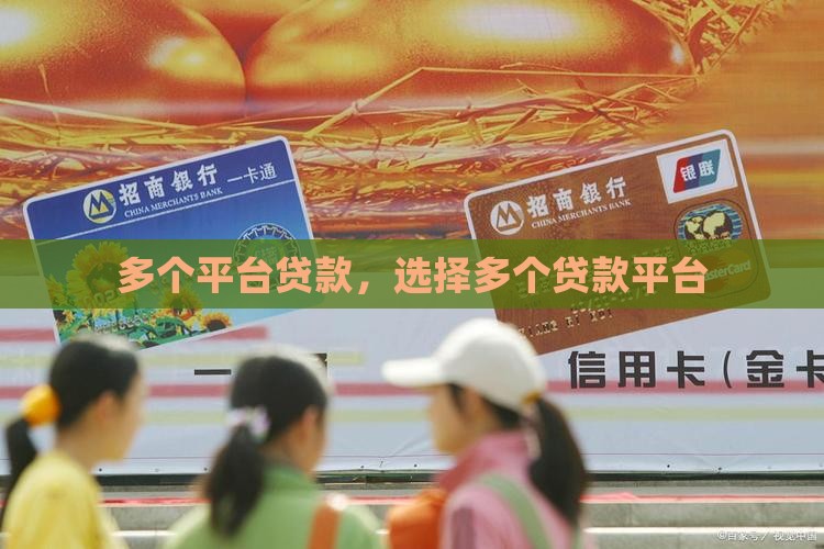 多个贷款平台贷款