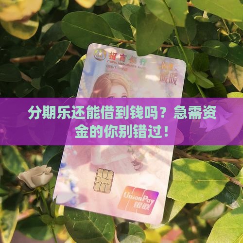 分期乐还可以贷款吗 分期乐还可以贷款吗