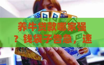 养牛资金贷款哪个银行好 养牛资金贷款哪个银行好