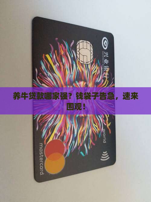养牛资金贷款哪个银行好 养牛资金贷款哪个银行好