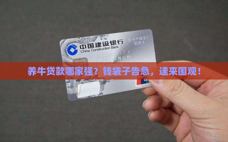 养牛资金贷款哪个银行好 养牛资金贷款哪个银行好