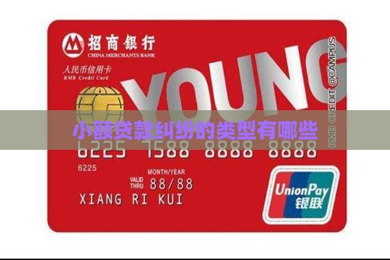 小额贷款会出现什么纠纷