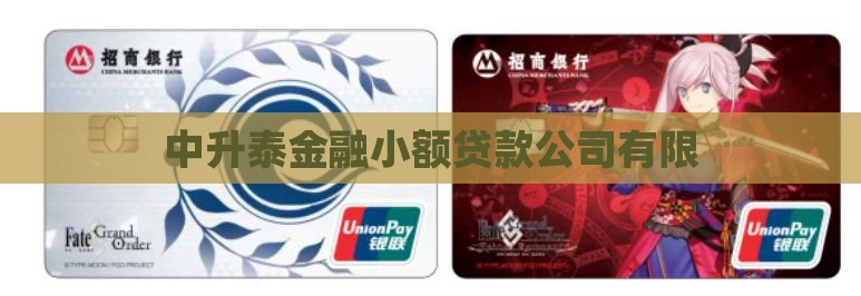 中升泰金融小额贷款