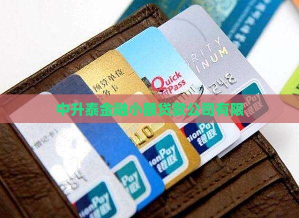 中升泰金融小额贷款
