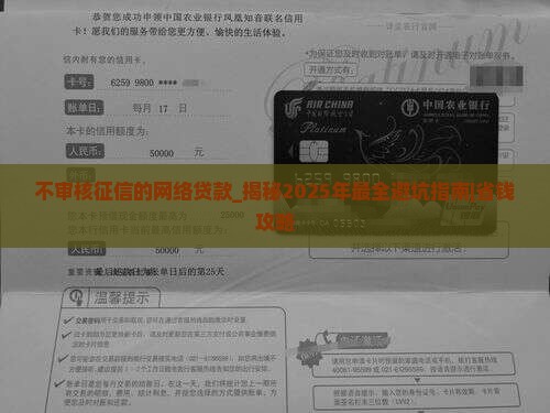 不审核征信的网络贷款