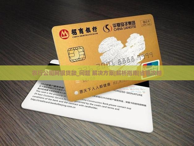 农行公司网银贷款