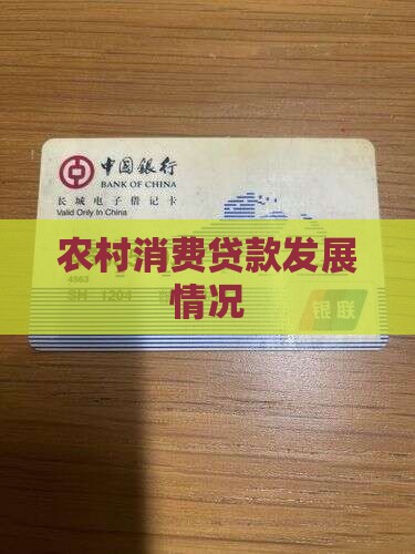 农村消费贷款情况