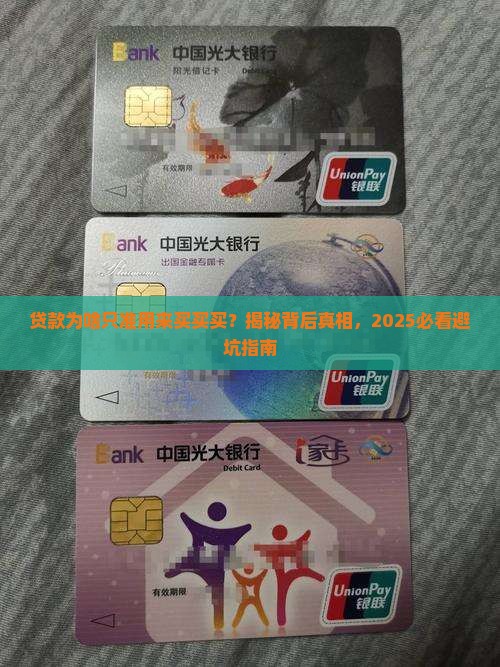 为什么贷款仅用于消费