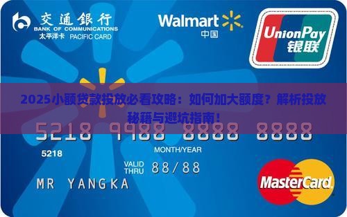 加大小额贷款投放力度