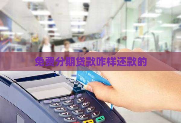 免费分期贷款咋样还款的