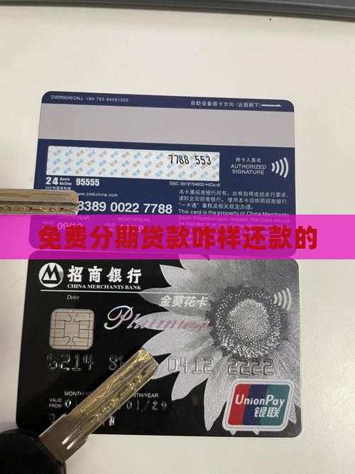 免费分期贷款咋样还款的