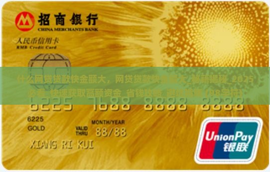 什么网贷贷款快金额大