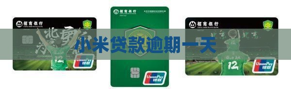 小米贷款逾期一小时