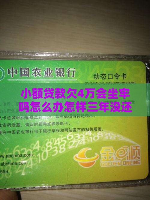 小额贷款欠4万