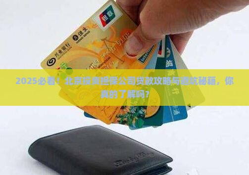 北京投资担保公司贷款