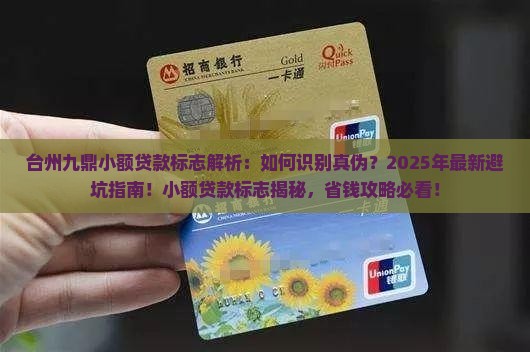 台州九鼎小额贷款标志