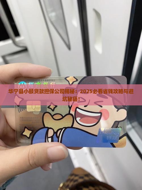 华宁县小额贷款担保公司