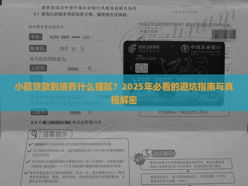 小额贷款有哪些特征