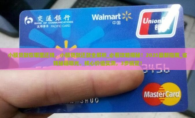 小额贷款在哪里还钱