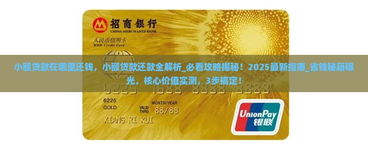 小额贷款在哪里还钱