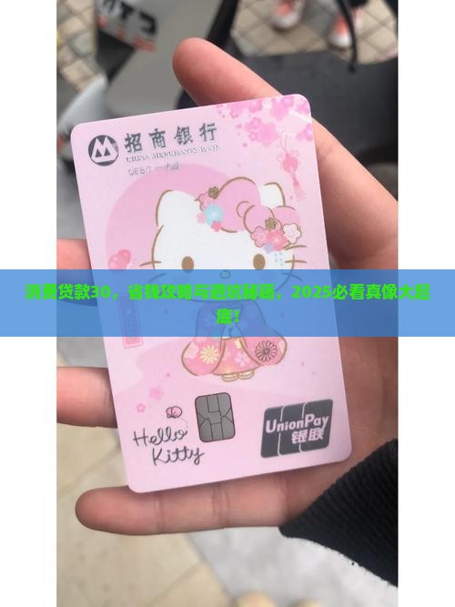 消费贷款30
