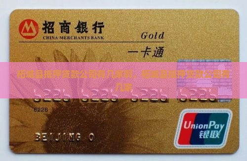 柘城县抵押贷款公司有几家