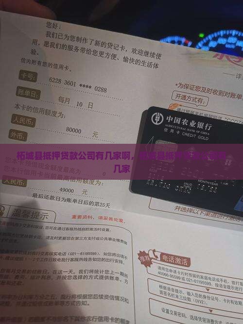 柘城县抵押贷款公司有几家