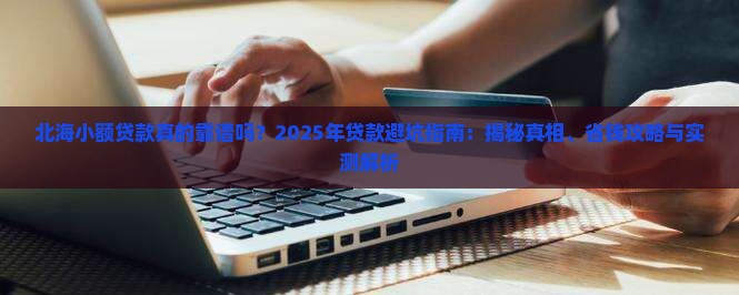 北海小额贷款案例分析