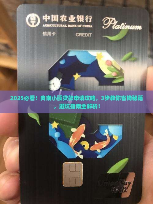 向南小额贷款